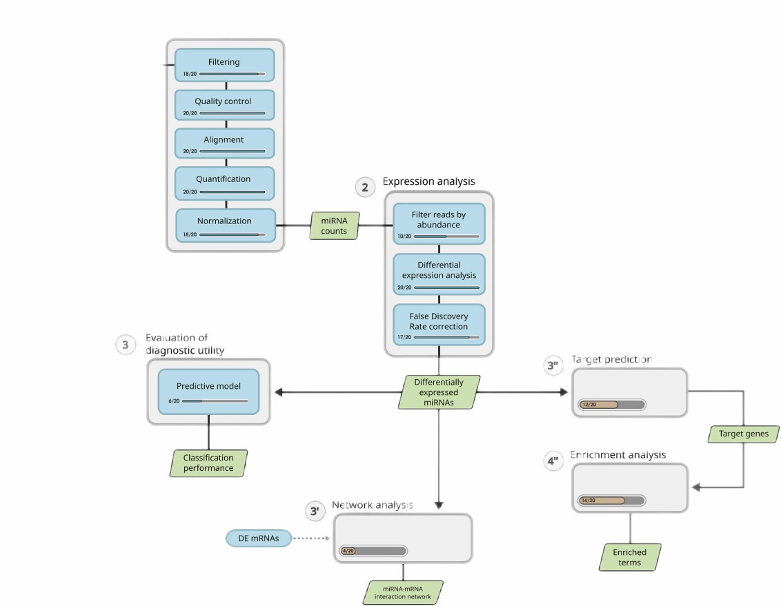 Outline of the general bioinformatics workflow for miRNA-seq 