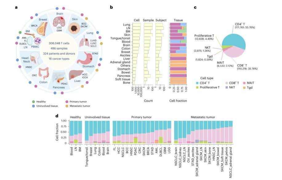 Pan-cancer analysis of T cells.