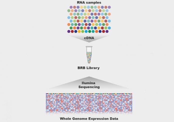 The Faster and Cheaper High-Throughput RNA Sequencing