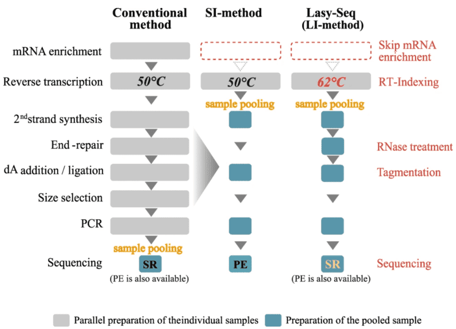 Lasy-Seq: a high-throughput library preparation method for RNA-Seq and its application in the analysis of plant responses to fluctuating temperatures