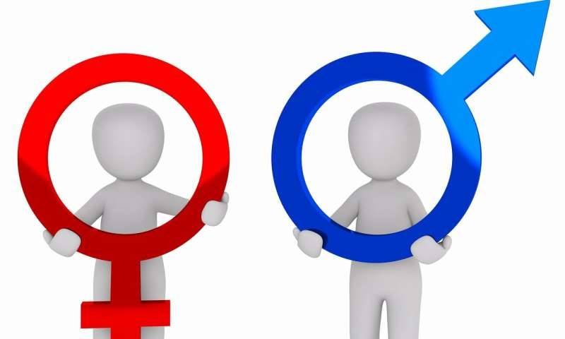 Researchers Discover Gender Affects Gene Expression in Mammals