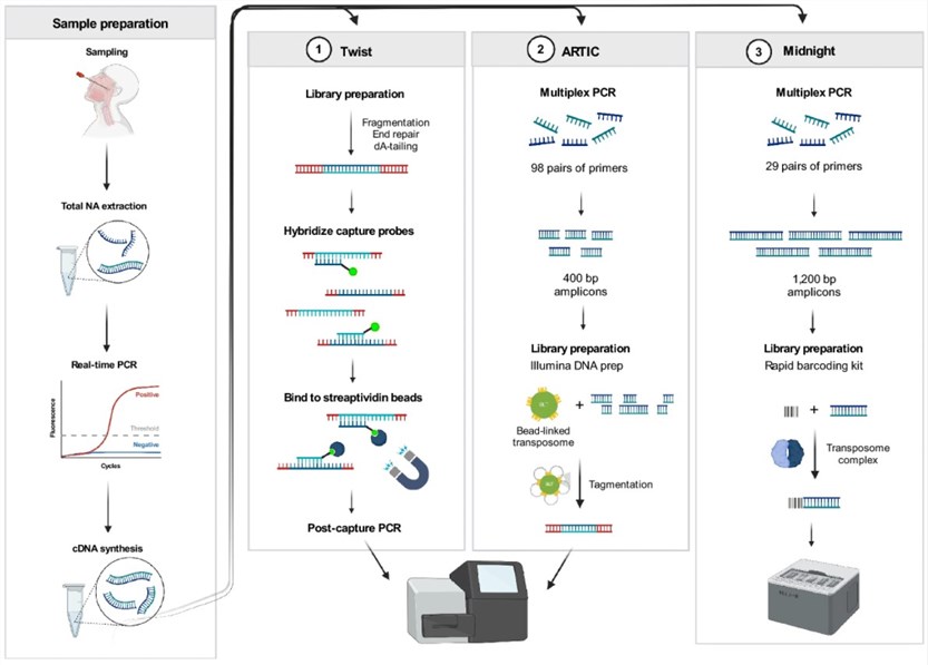 SARS-CoV-2 whole genome sequencing using tiled amplicon enrichment and bait hybridization