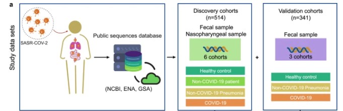 shotgun metagenomic sequencing of COVID-19