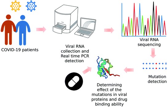 Whole genome sequencing for revealing the point mutations of SARS-CoV-2 genome