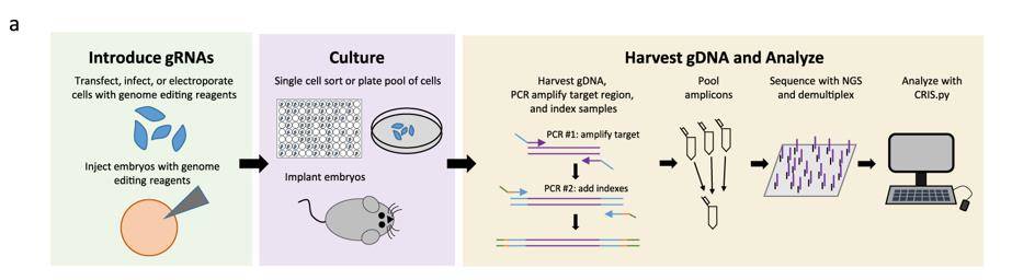 High-throughput Analysis for CRISPR-based Genome Editing.