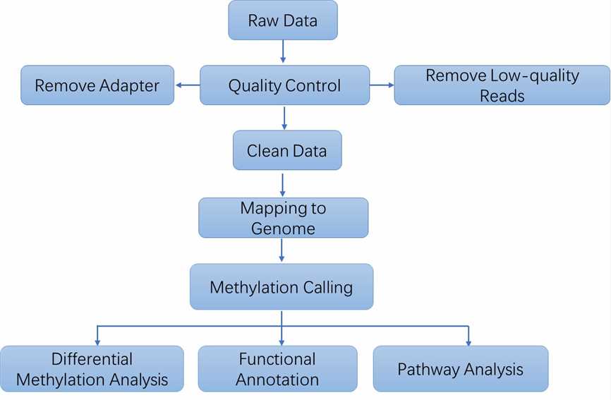 The Data Analysis Pipeline of NGS-BSP. 