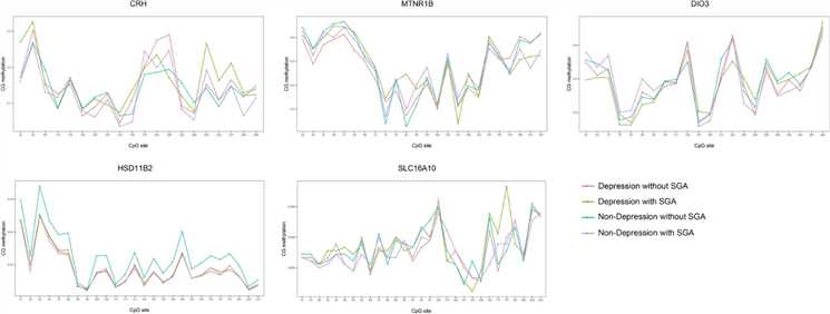 Figure 1. Methylation patterns of CRH, HSD11β2, SLC16A10, DIO3, and MTNR1B genes in placental tissue. (Yang et al., 2022)