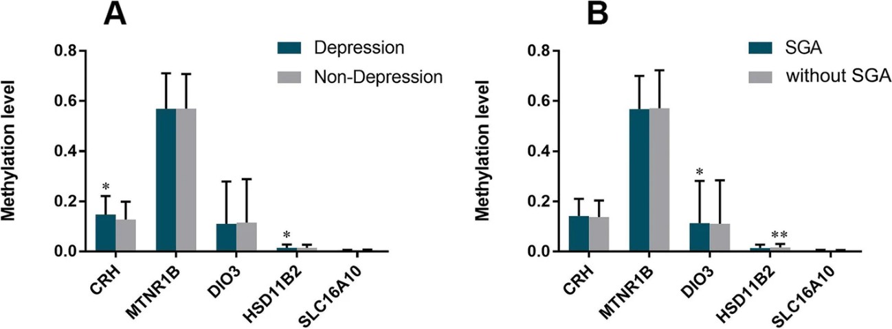 Figure 3. Methylation differences in CRH, HSD11β2, DIO3, SLC16A10, and MTNR1B based on maternal depression and SGA birth status. (Yang et al., 2022)