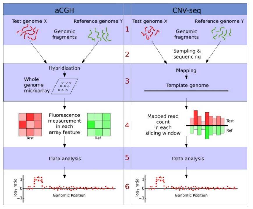 Methods for Detecting Copy Number Variations (CNVs)