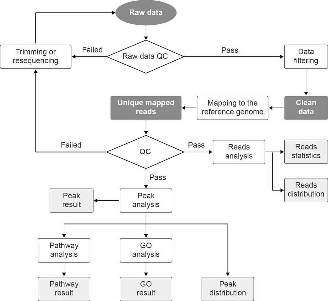 Figure 2. MeDIP-seq Data Analysis Bioinformatics Pipeline.