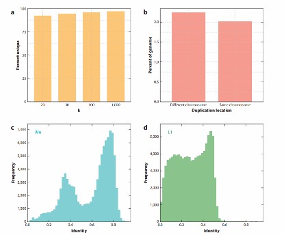 Overview of The Genome Assembly