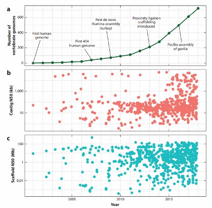Status of vertebrate genome assemblies.