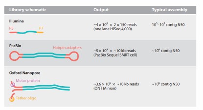 Sequencing library method