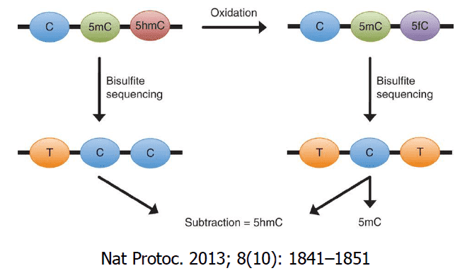 oxBS-seq