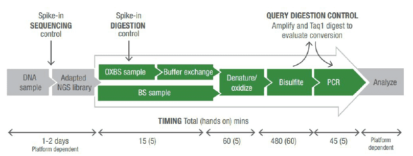 oxBS-seq