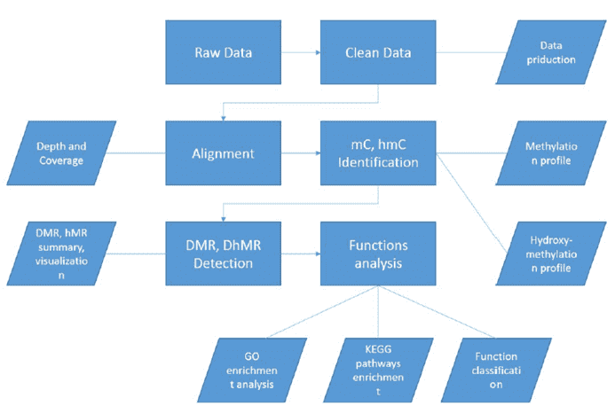 oxBS-seq