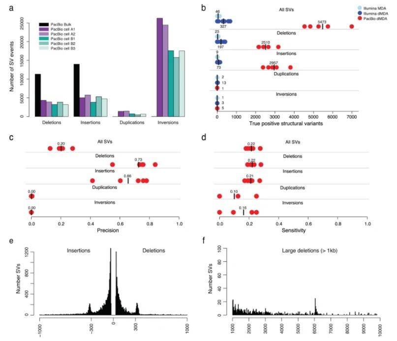 Enhancing SV Detection with Long-Read Single-Cell WGS