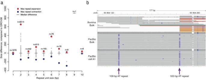 Single-Cell Tandem Repeat Analysis