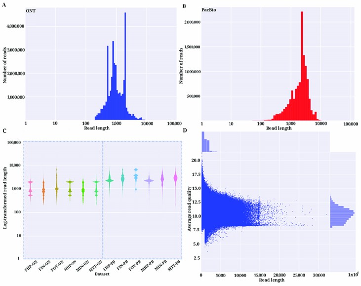 Comparative Analysis of ONT and PacBio Sequencing Libraries. (Udaondo, Zulema, et al., 2021)