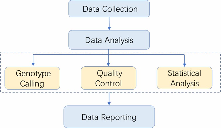 The Data Analysis Pipeline of PCR-LDR SNP Genotyping.