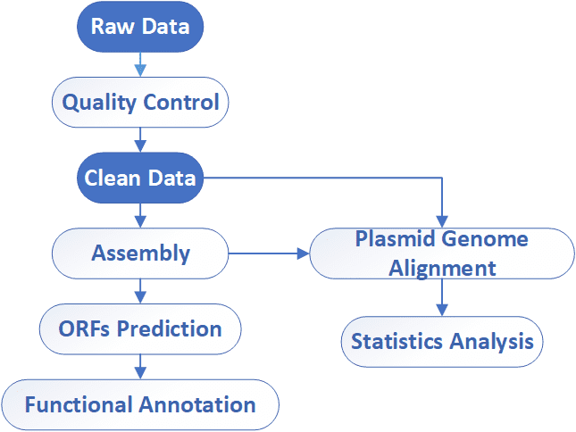 Analysis pipeline 