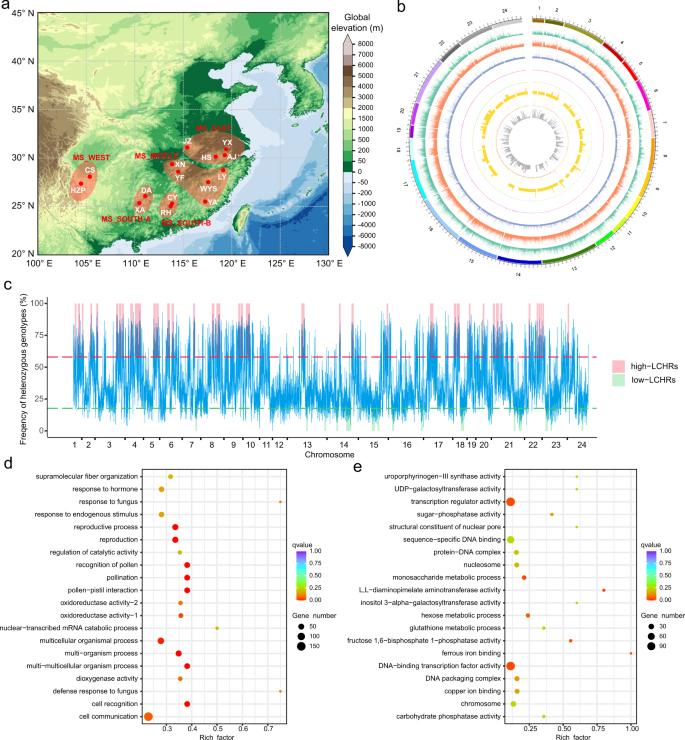 Fig. 1: Sampling locations and genetic variants identified in sequenced moso bamboo individuals. (Zhao et al., 2021)