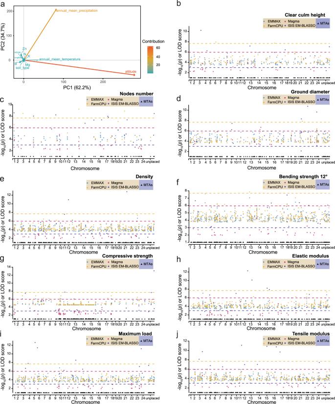 Fig. 3: Genome-wide association study (GWAS) of key property traits in moso bamboo. (Zhao et al., 2021)