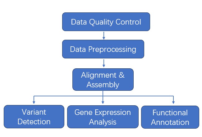 The Data Analysis Pipeline of Pre-made Library Sequencing.