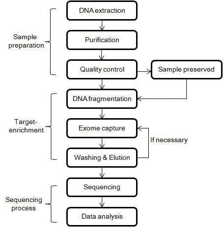 Figure1. Workflow of WGS.