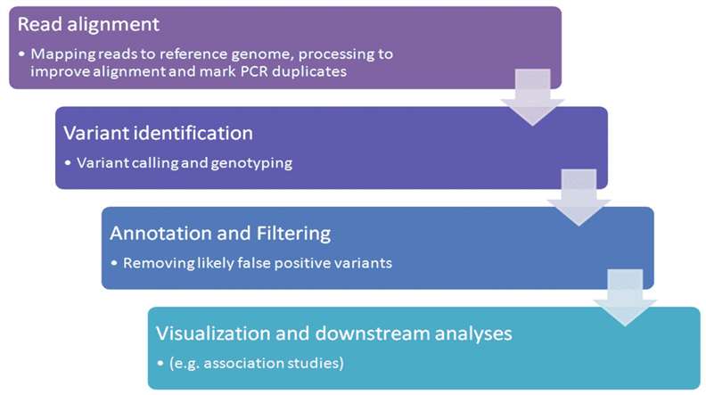 Figure2. The typical variant calling pipeline.