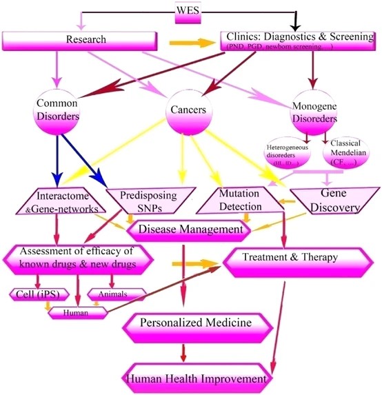 Figure3. WES and impact of its genetic consequences on human public health.