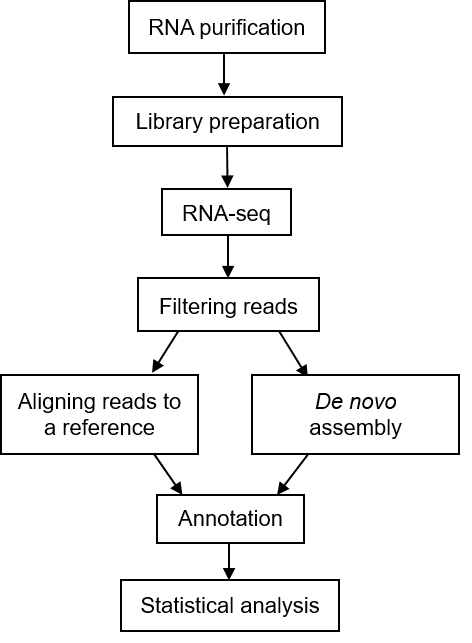 The Principles, Workflow and Applications of Metatranscriptomic Sequencing