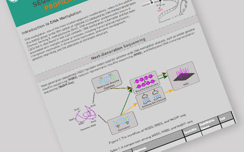 Sequencing-Based Methods for Profiling DNA Methylation