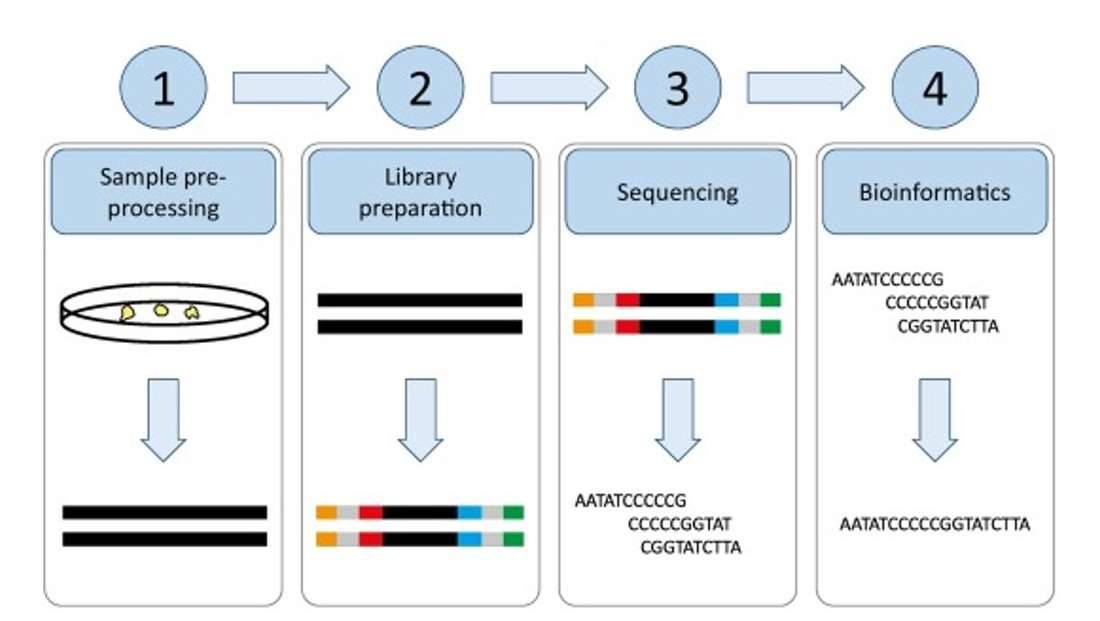 Next generation sequencing.