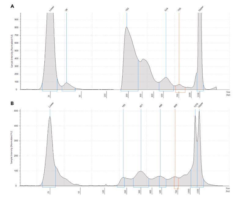 Typical TapeStation profile (D1000 TapeStation in this case) of an ATAC-seq library.