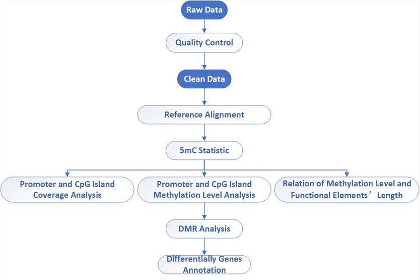 The Reduced Representation Bisulfite Sequencing Results Display Figure.