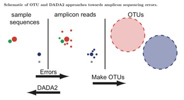 CD Genomics amplicon sequencing analysis pipeline