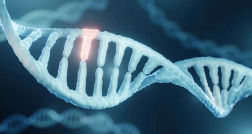 Gene Mutation and Sequencing