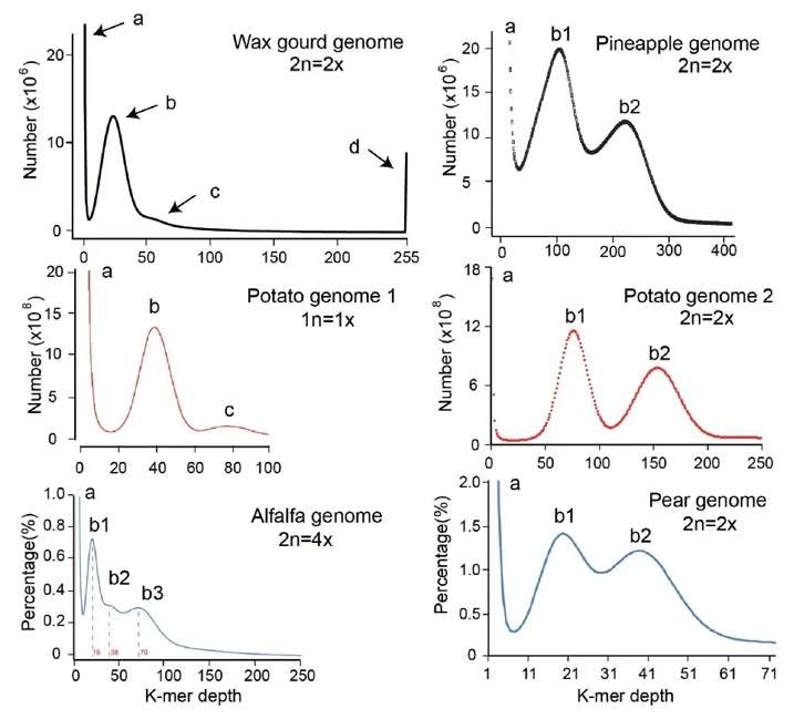 K-mer distribution curves of Illumina sequencing data of several plant genomes.