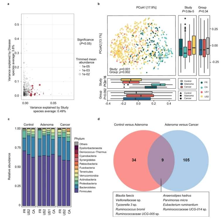 Alterations of gut microbial composition in different disease status.