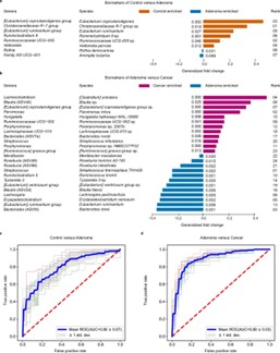 Performance of discriminating adenoma from control or cancer using important features.