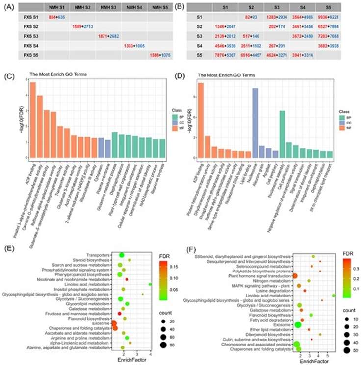 Differentially expression genes in different samples.