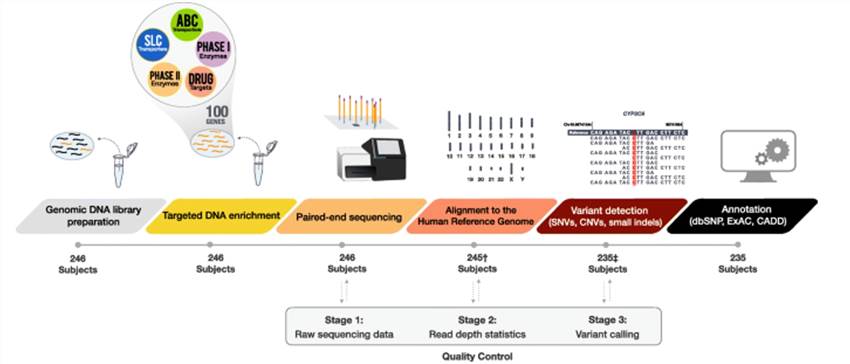 Targeted next generation sequencing sample and data processing workflow.