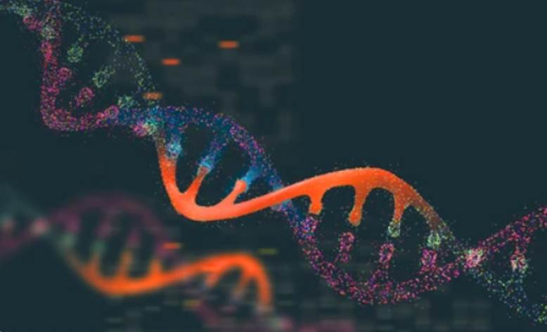 Whole Exome vs. Whole Genome Sequencing