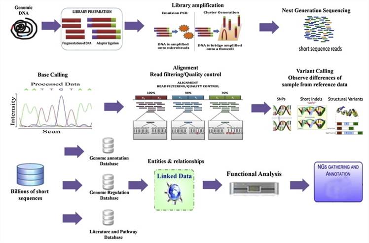 Next-Generation Sequencing methodology. (Nayarisseri et al., 2013)