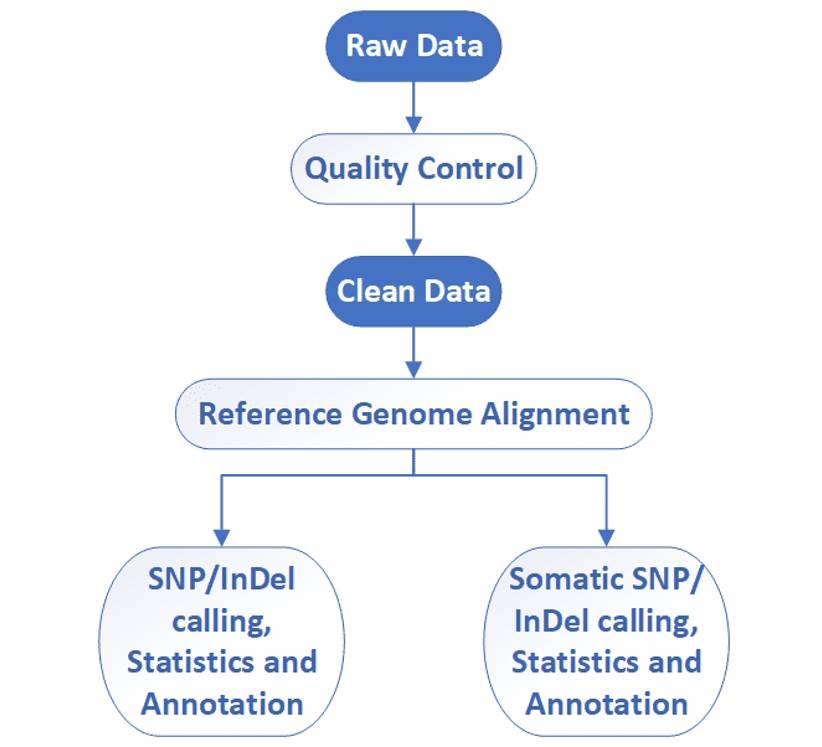 Whole exome sequencing - CD Genomics