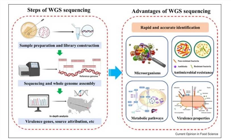 Whole-genome sequencing for food safety (Zhang et al., 2022)