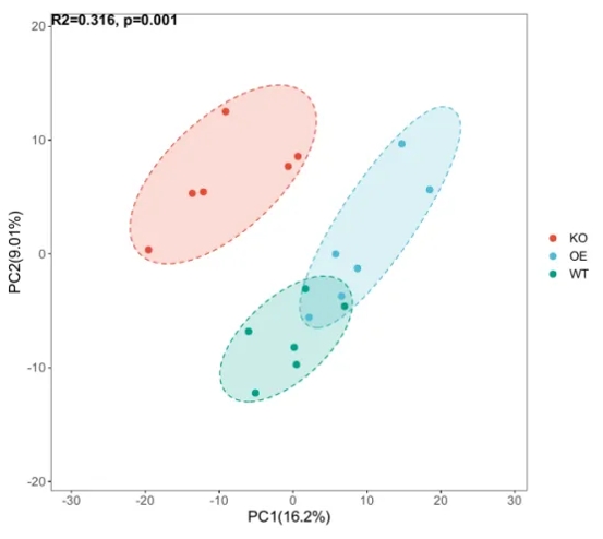 A PCA scatter plot depicting the similarity between samples and differences between groups.
