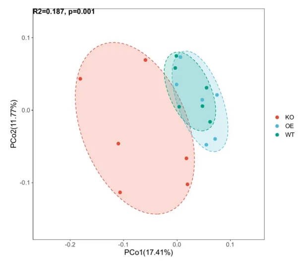 A PCoA scatter plot depicting the similarity between samples and differences between groups.