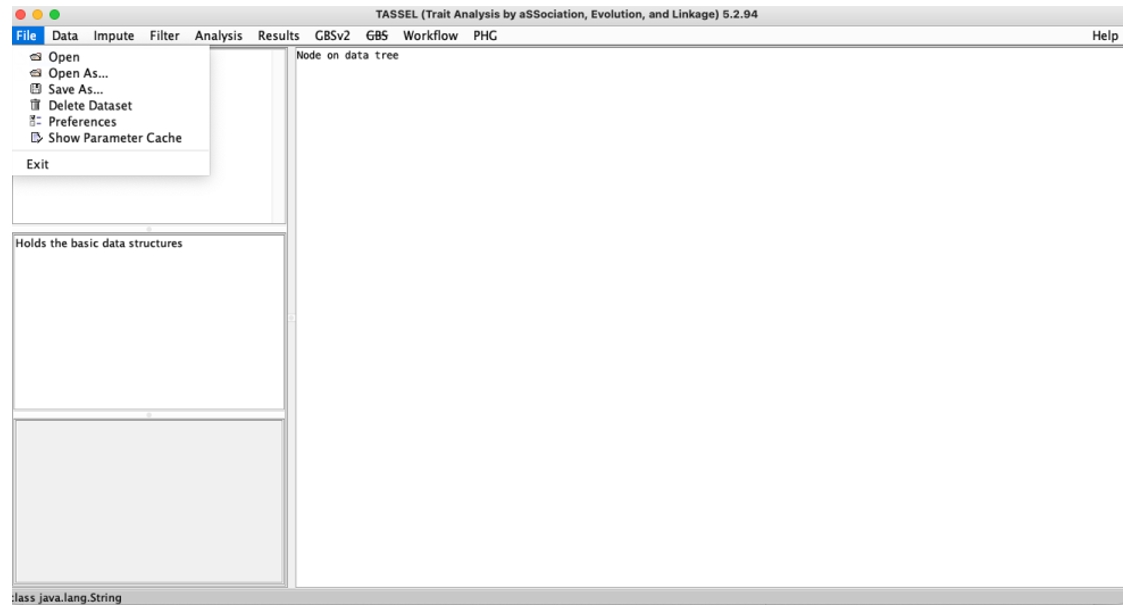 TASSEL File menu.